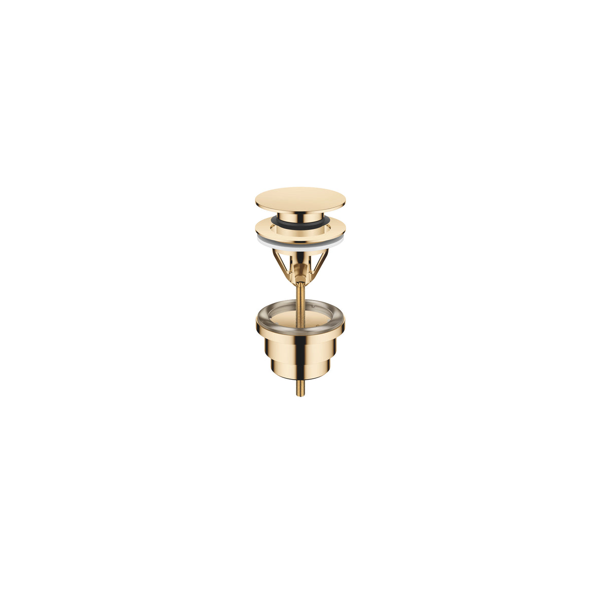Dornbracht SERIES-VARIOUS Lavabo Süzgeci, Bas-Aç 1 1/4" — Durabrass (23 ayar Altın)