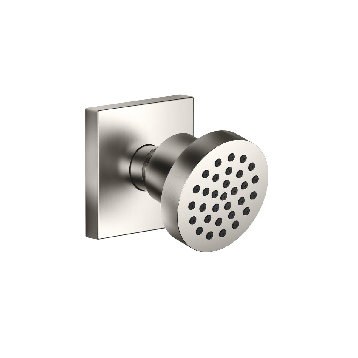 Dornbracht SERIES SPECIFIC Vücut Duşu Debi Ayarsız — Fırçalanmış Platin