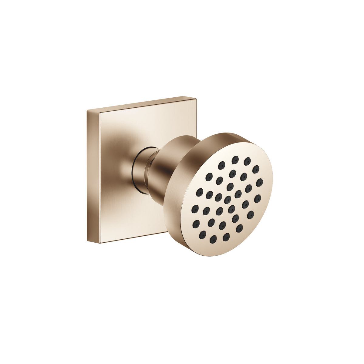 Dornbracht SERIES SPECIFIC Vücut Duşu Debi Ayarsız — Fırçalanmış Açık Altın (PVD)