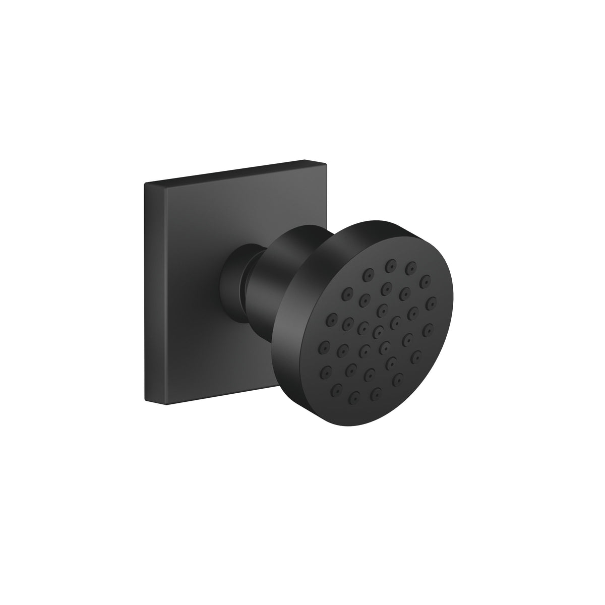 Dornbracht SERIES SPECIFIC Vücut Duşu Debi Ayarsız — Mat Siyah