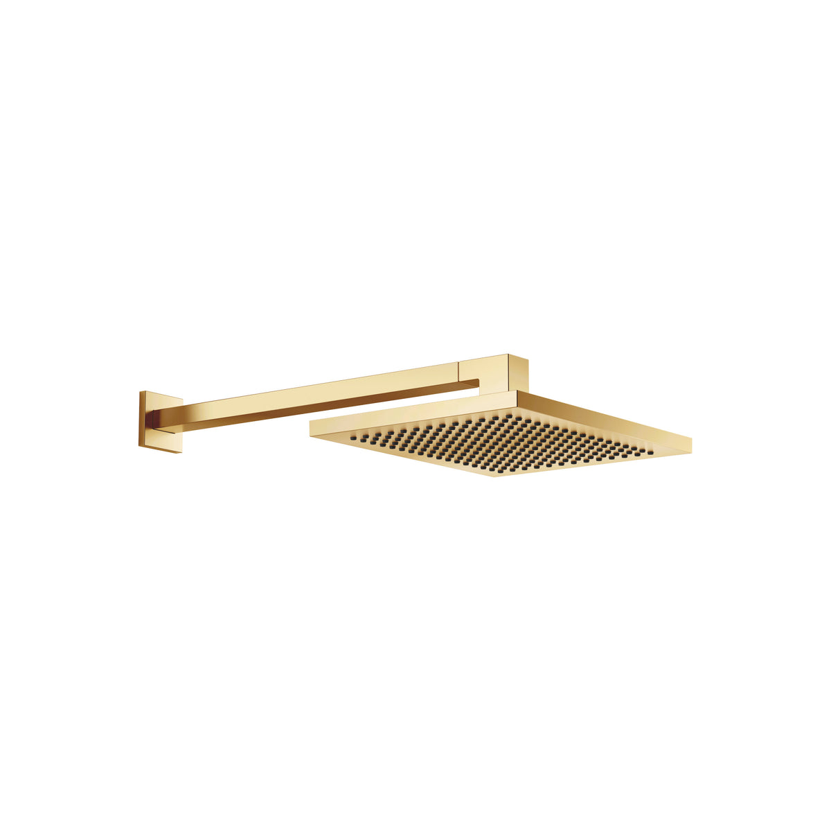 Dornbracht SERIES SPECIFIC Tepe Duşu Duvara Sabitlemeli FlowReduce 300 x 240 mm — Fırçalanmış Durabrass (23 ayar Altın)