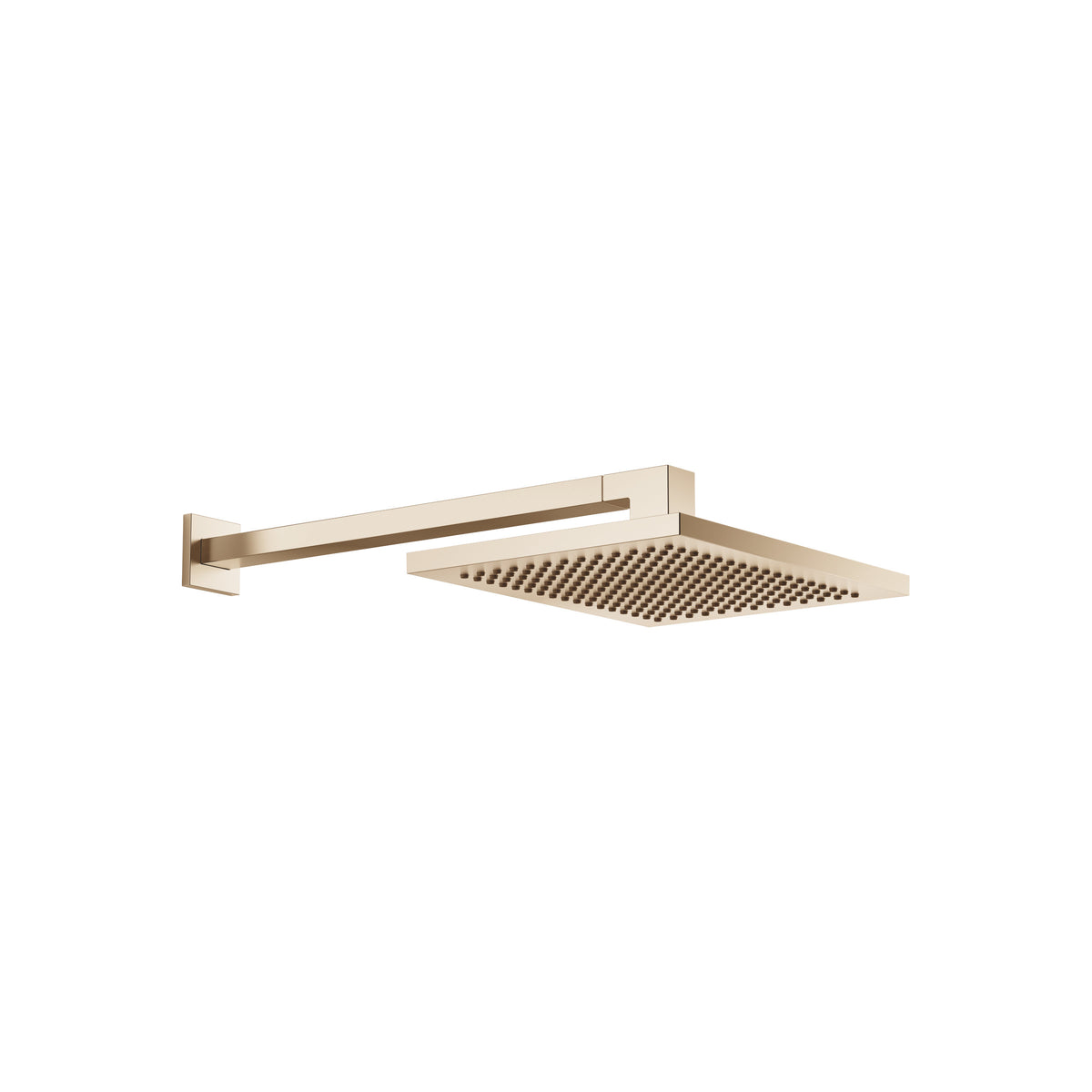 Dornbracht SERIES SPECIFIC Tepe Duşu Duvara Sabitlemeli FlowReduce 300 x 240 mm — Fırçalanmış Şampanya (22 ayar Altın)