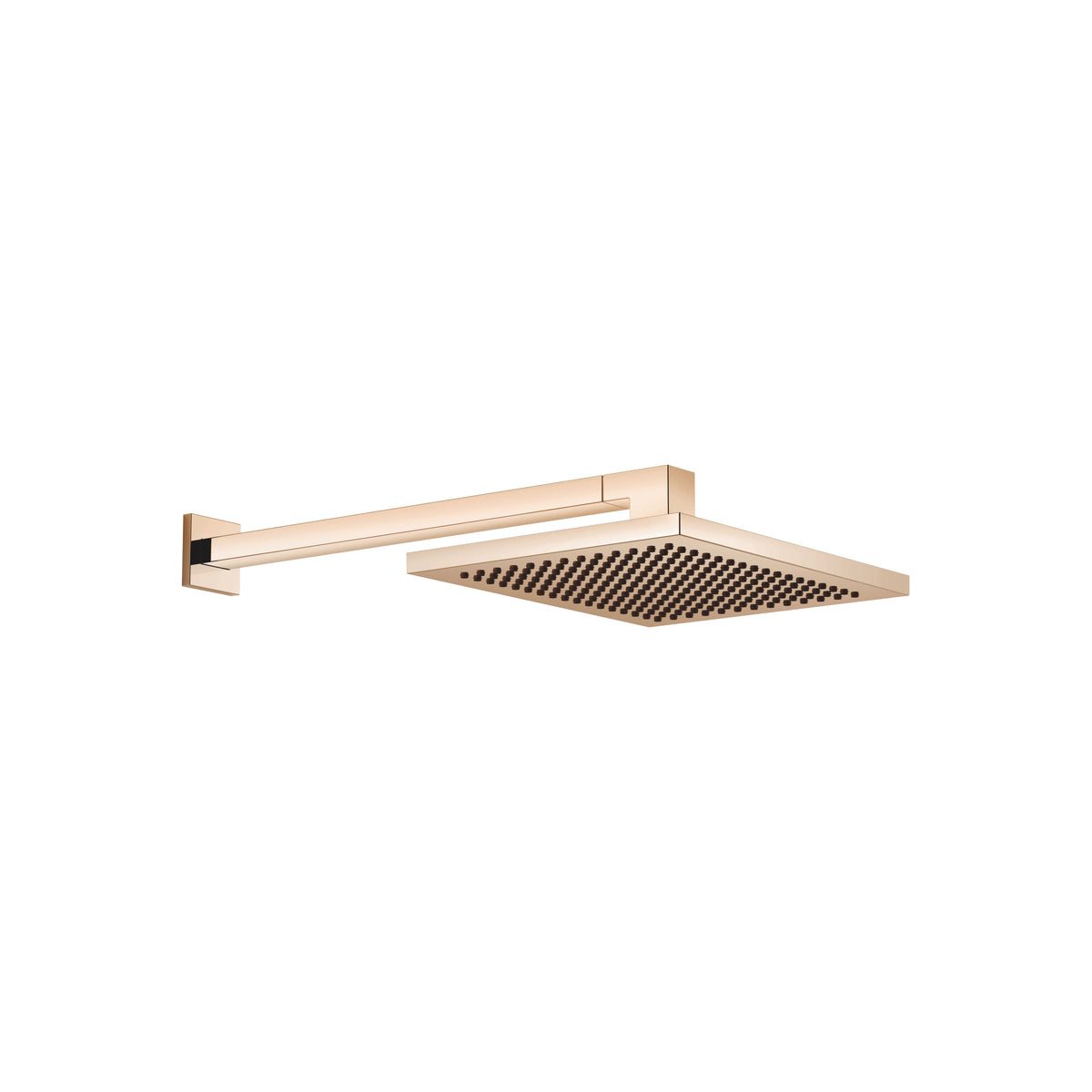 Dornbracht SERIES SPECIFIC Tepe Duşu Duvara Sabitlemeli FlowReduce 300 x 240 mm — Şampanya (22 ayar Altın)