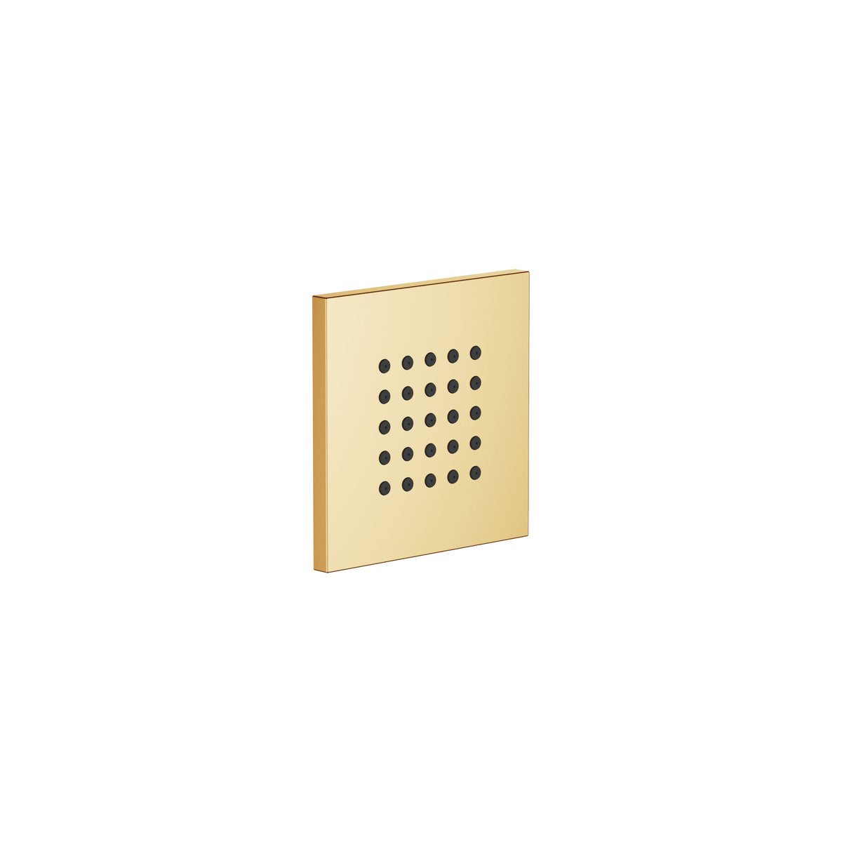 Dornbracht SERIES-VARIOUS WATER POINTS Ankastre Vücut Duşu — Fırçalanmış Durabrass (23 ayar Altın)